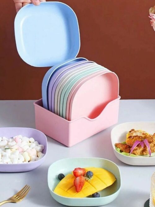 10 Piece Plate Set With Holder